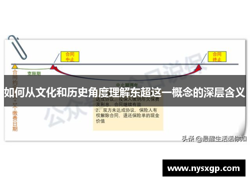 如何从文化和历史角度理解东超这一概念的深层含义 如何从文化和历史角度理解东超这一概念的深层含义