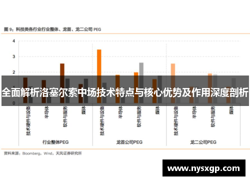 全面解析洛塞尔索中场技术特点与核心优势及作用深度剖析